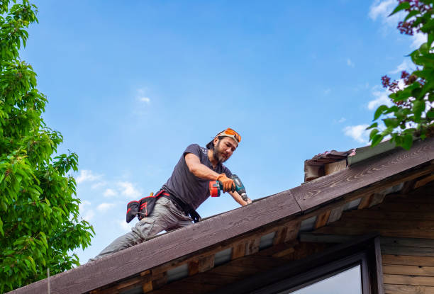 Best Roof Moss and Algae Removal  in Clay, AL